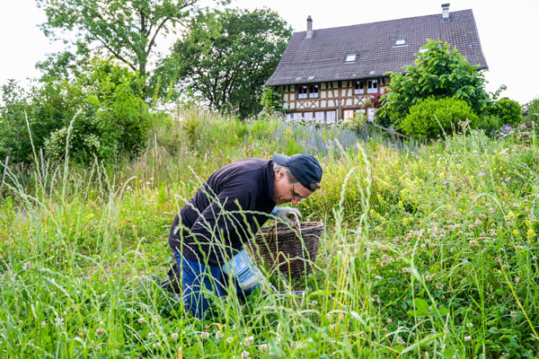 SI BL100 160 Blumen 0075 Edit Kopie SI BL100 160 Blumen 0075 Edit Kopie