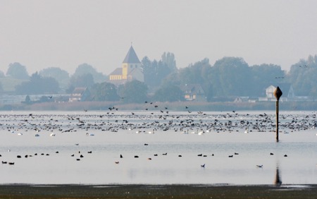 Massentouristen im Anflug