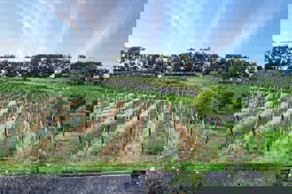 RE 20220712 203128 RE 20220712 203128