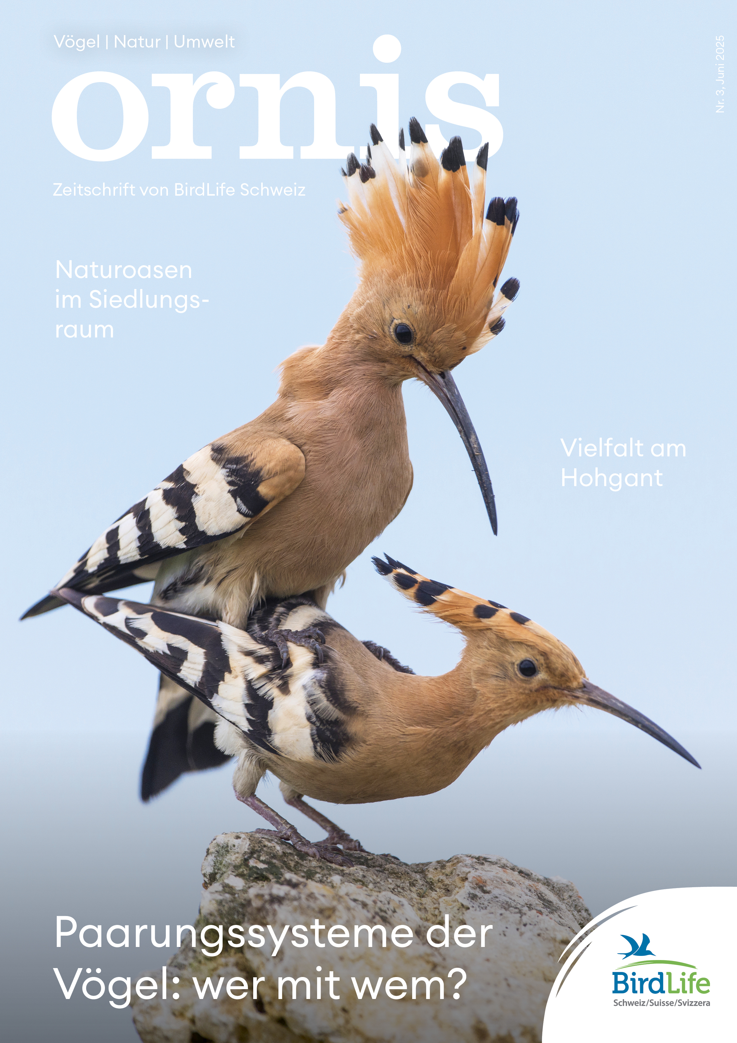 Orn3 01 Titel (5)
