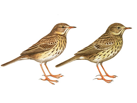 Auf die Details kommt es an