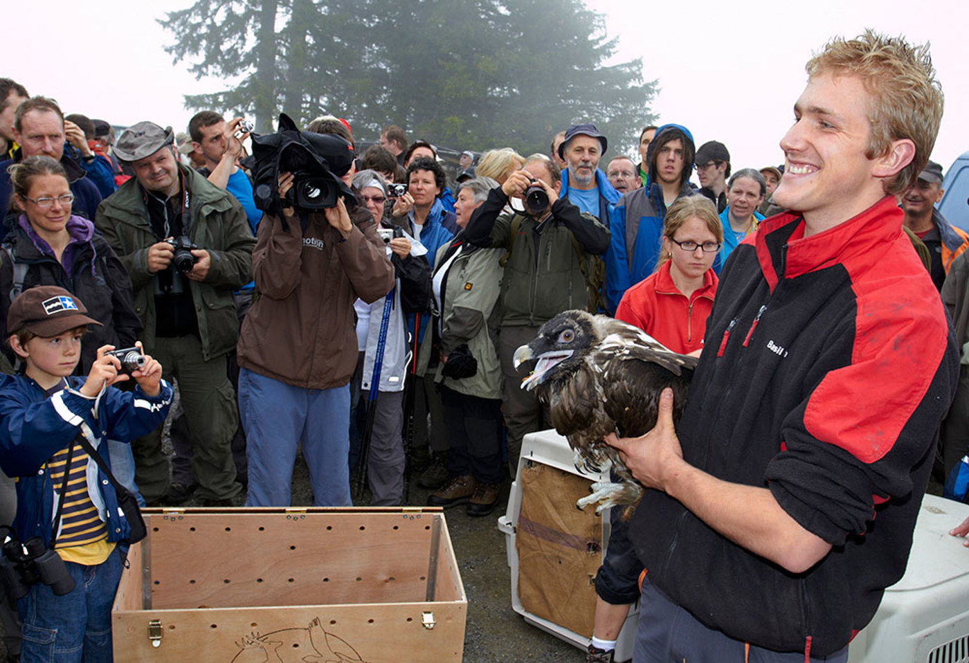 Bartgeier Medien Staehli MG 7086