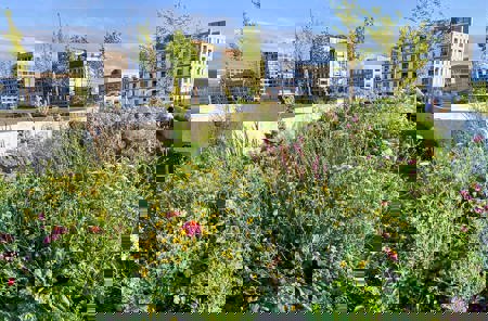 Das grosse Summen fördern