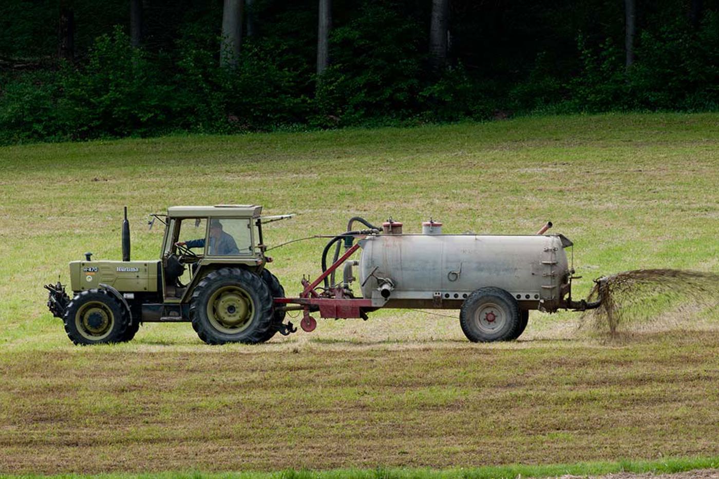 Futtermittelimporte und hohe Tierbestände führen dazu, dass viel zu viel Gülle auf Wiesen und Äckern «entsorgt» werden muss. © Markus Jenny